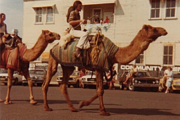 Barry Ferrier Camelman