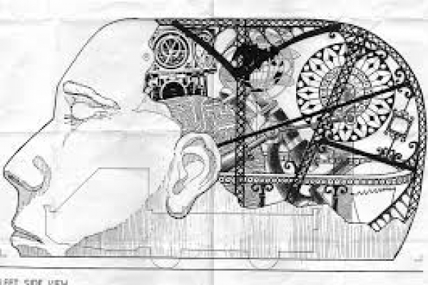mullins-sketch-brainF04057FA-525C-9806-68B4-B01F9CBE73D5.jpeg